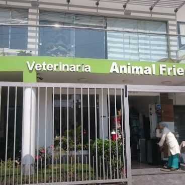 Sistema de Gestión y Facturación para Veterinarias Sistema de Gestión y Facturación para Veterinarias